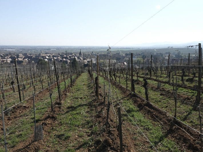 Le Vignoble du Rêveur - vins-authentiques.ch