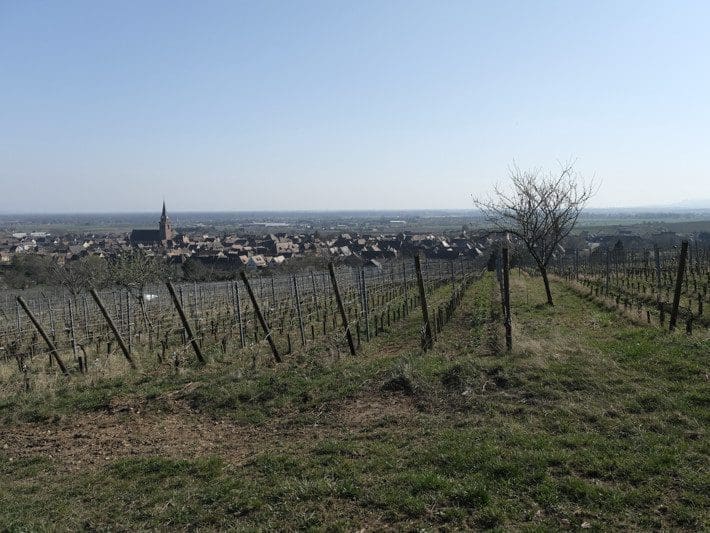 Le Vignoble du Rêveur - vins-authentiques.ch