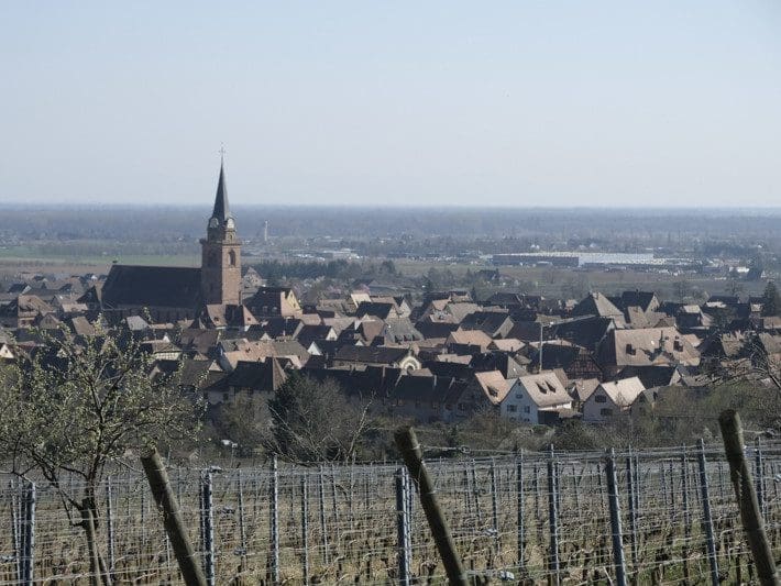 Domaine - vins-authentiques.ch